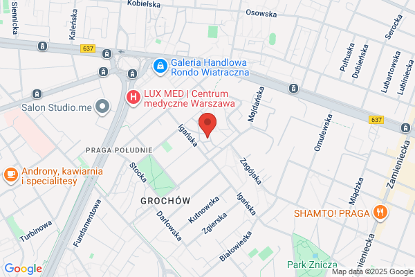 Pralnia chemiczna i wodna, magiel