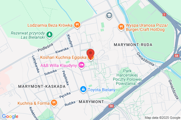 Wolak Krystyna. Pralnia chemiczna, magiel