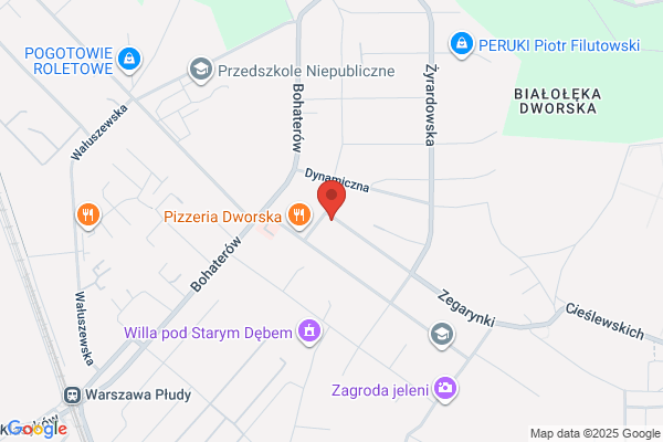 Daszkiewicz Zenona. Kiosk