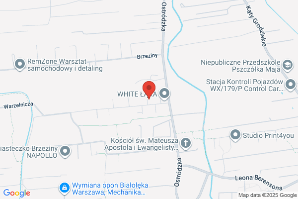Agma Automation. Krzywicki M.
