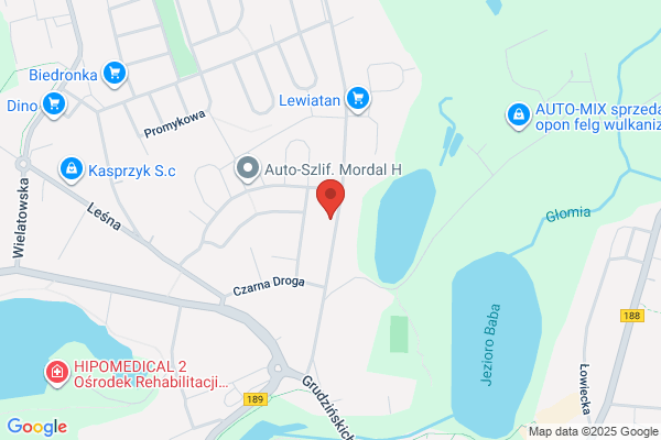 Pietrzak B. Uslugi transportowe
