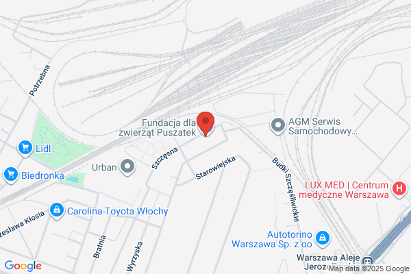Sokolik Maria, dr. Psychoterapia