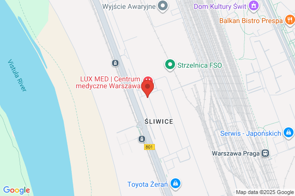 Autoczesci Wierzbiccy. Wierzbicka A.