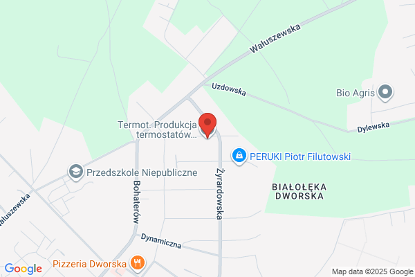 Termot. Produkcja termostatów motoryzacyjnych. Dyznarowski i Wspólnicy