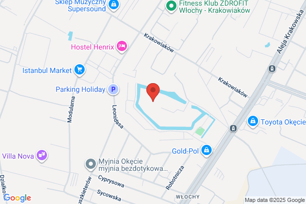 ASO Blacharstwo-Lakiernictwo Centrum Daewoo-FSO