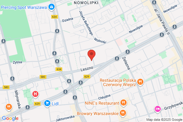 Lasart. Blacharstwo pojazdowe. Uszynski R.
