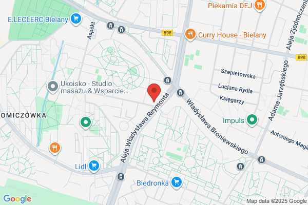 Napiórkowski J. Blacharstwo i lakiernictwo pojazdowe