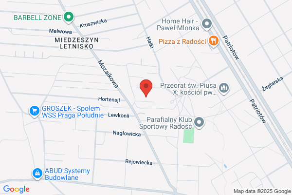 Orzechowski M. Naprawa, blacharstwo