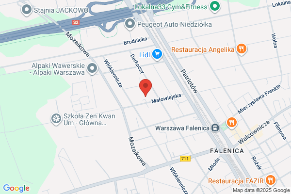 Falenica. Naprawa elektroniki samochodowej