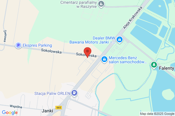 Big Autohandel. Dealer samochodów osobowych i dostawczych