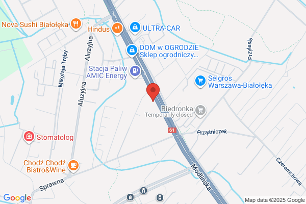 Bluecar. Sprzedaz samochodów. Król P.