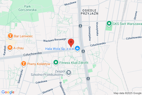 Auto Meches. Obsluga i naprawa pojazdów mechanicznych. Sczepanski R.