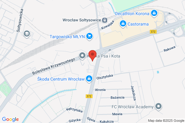 Gajewska. S.j. Autoryzowany partner serwisowy VW