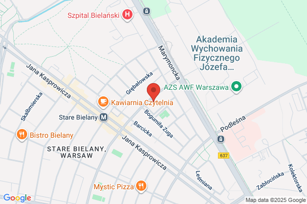 Edelman J. Lustra do samochodów osobowych i ciezarowych