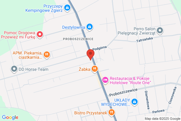 Kangaroo. Sp. z o.o. Producent toreb sportowych i plecaków