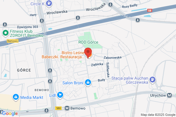 Stowarzyszenie Sport Dzieci i Mlodziezy