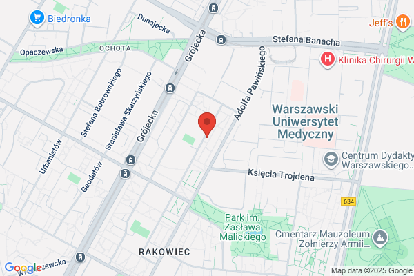 Moppi. Slowikowski P.