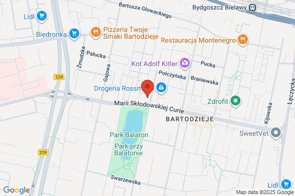 Biedronka
