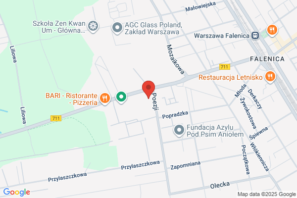 Gimnazjum Publiczne Zespolu Szkól Ogólnoksztalcacych