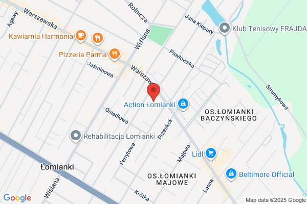Niepubliczna Szkola Muzyczna I Stopnia