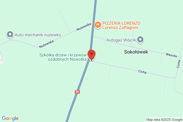 Nowotka A.M. Szkólka drzew i krzewów ozdobnych