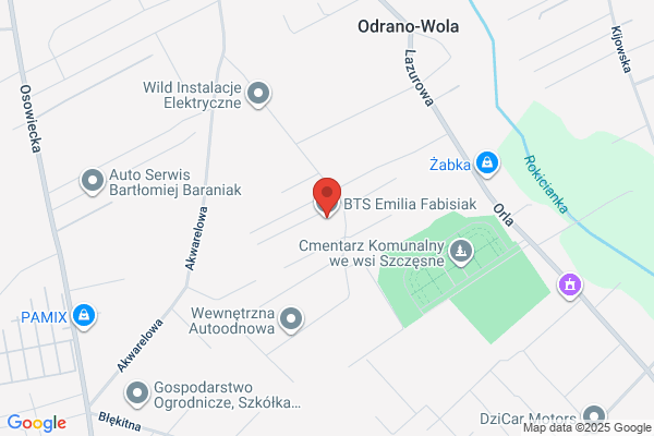 Fabisiak Emilia. Tlumacz przysiegly jez. szwedzkiego