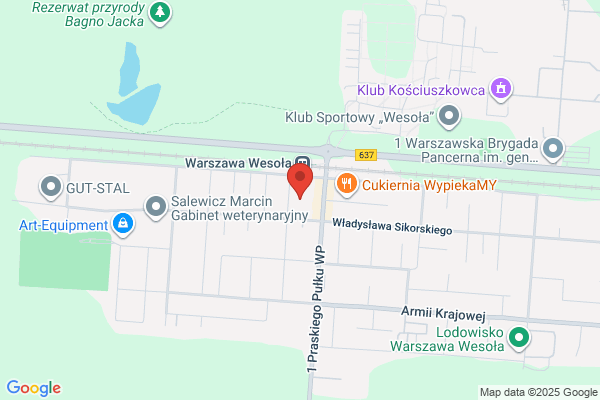Russlaja Izbuszka. Studio nauki jez. rosyjskiego i tlumaczen. Krutikow O.