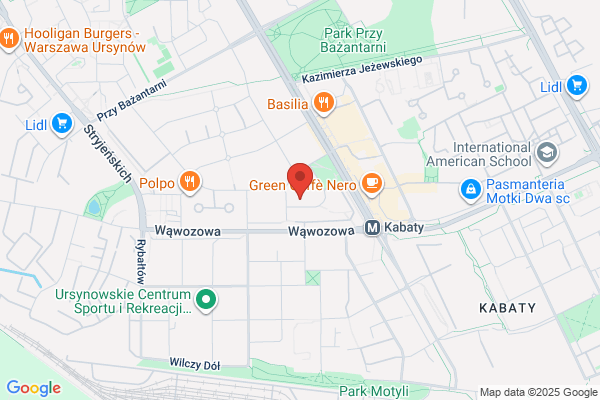 Swietlik Katarzyna. Tlumacz przysiegly jez. niemieckiego