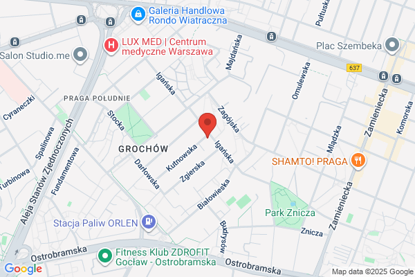 Turczynska Joanna. Tlumacz przysiegly jez. niemieckiego
