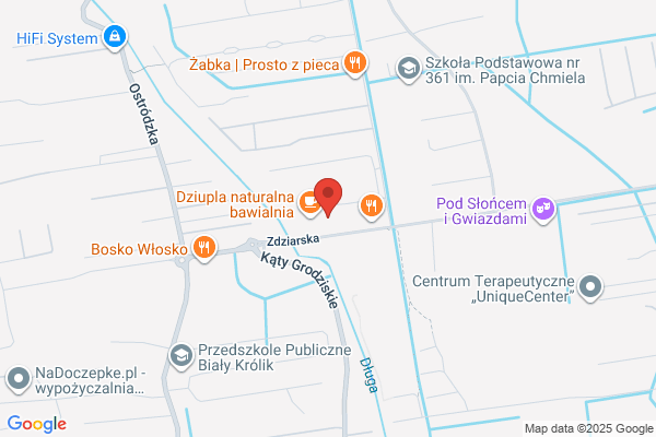 Bokatrans SC. Padlewska K., Padlewski B.