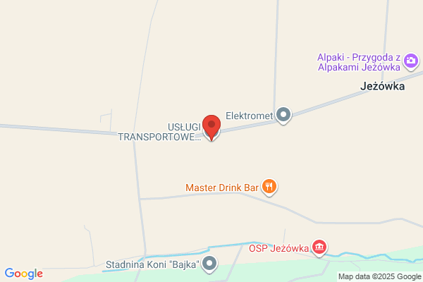 Iwtrans. Dylewska I.
