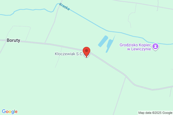 Kloczewiak M. Uslugi transportowe
