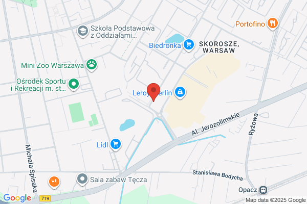 Obrzut Malgorzata. Uslugi transportowe