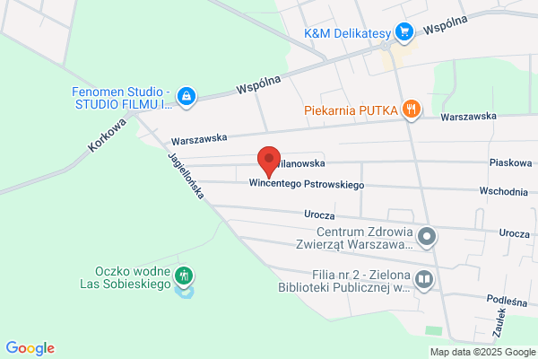 Skuza Trans. Przewozy expresowe