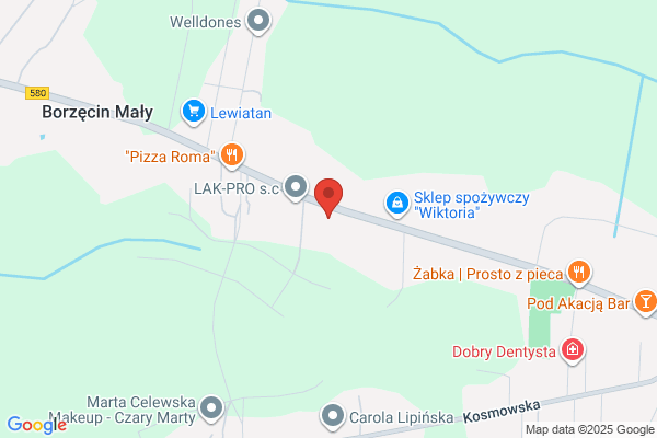 Puchalski Andrzej. Uslugi transportowe