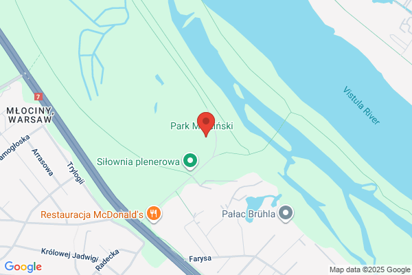 Polana