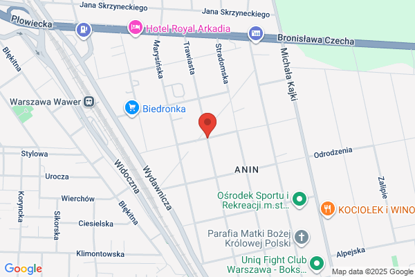 Anin