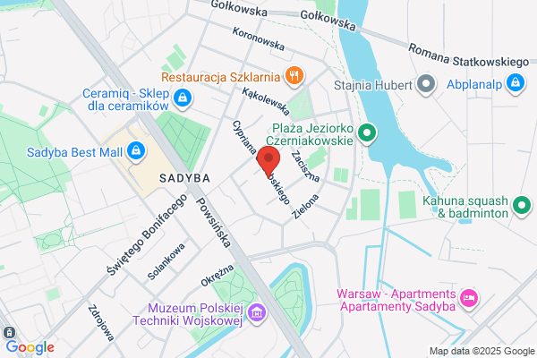 Lancet. Klinika weterynaryjna. Chirurgia, RTG, USG