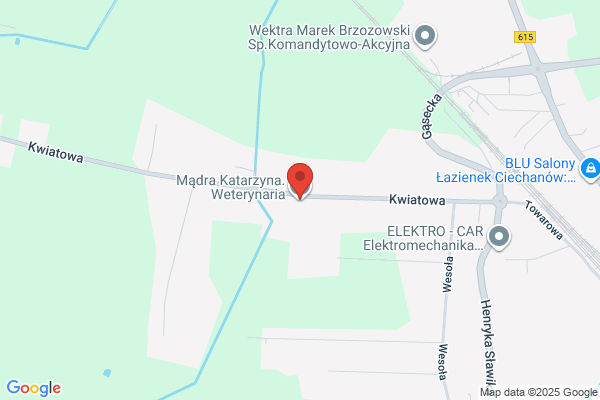 Madra Katarzyna. Weterynaria