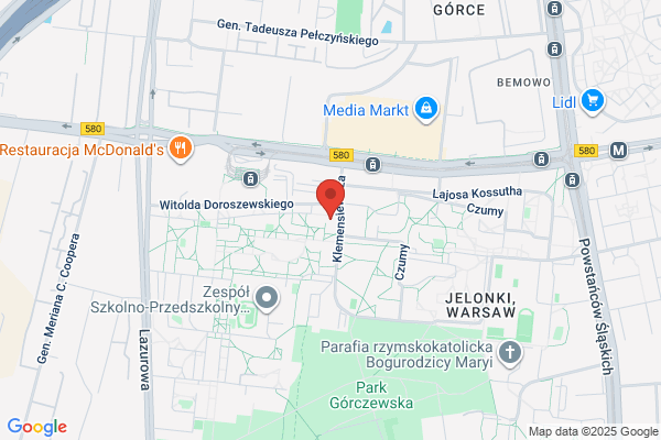 Ogonek SC. Wojtys-Gajda M., Kowalczyk P.