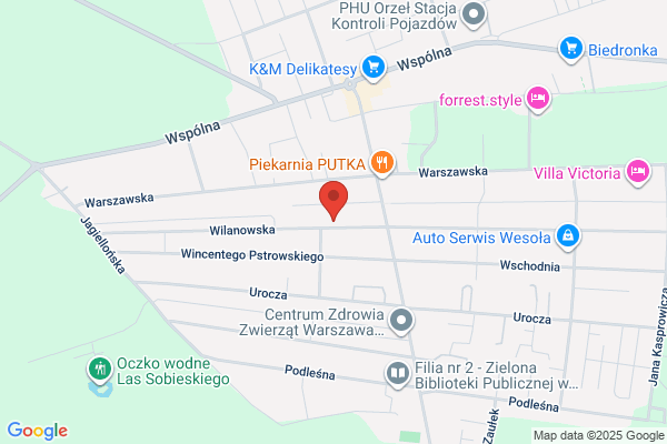 Echosonda.pl. Nawigacja, GPS, silniki Minnkota