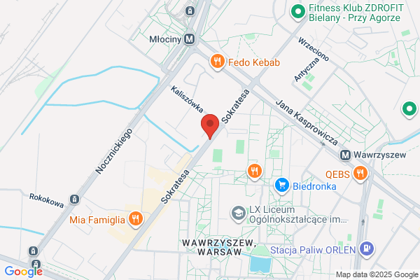 Wolcar International. Obsluga dlugów zagranicznych