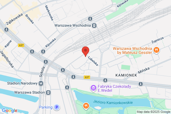Stowarzyszenie Apostolstwa Katolickiego. Ksieza Pallotyni