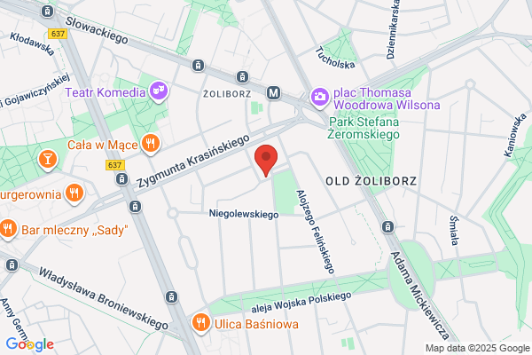 Zgromadzenie zakonne Sióstr Sluzebniczek NMP Niepokalanego Poczecia (Starowiejskie)