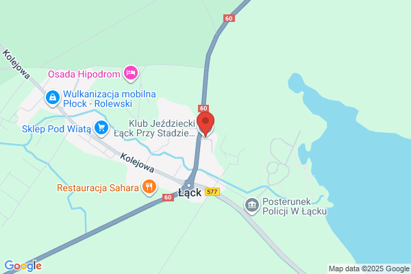 Stadnina ogierów w Lacku