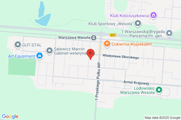 Przylesie. S.j. Apteka. Maciejewscy J.E.