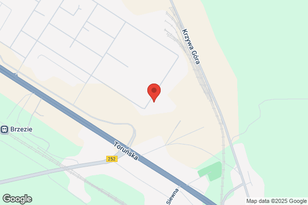 Ola. Agencja celna