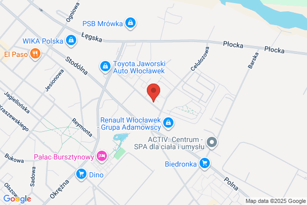 Abakus. Biuro rachunkowe. Rakowski P.
