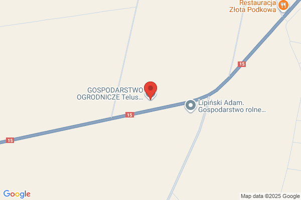Chryzantemy. Specjalistyczne gospodarstwo ogrodnicze