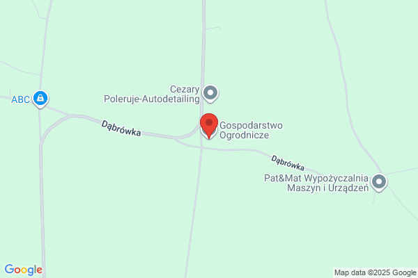 Dziegielewski Kazimierz. Gospodarstwo ogrodnicze